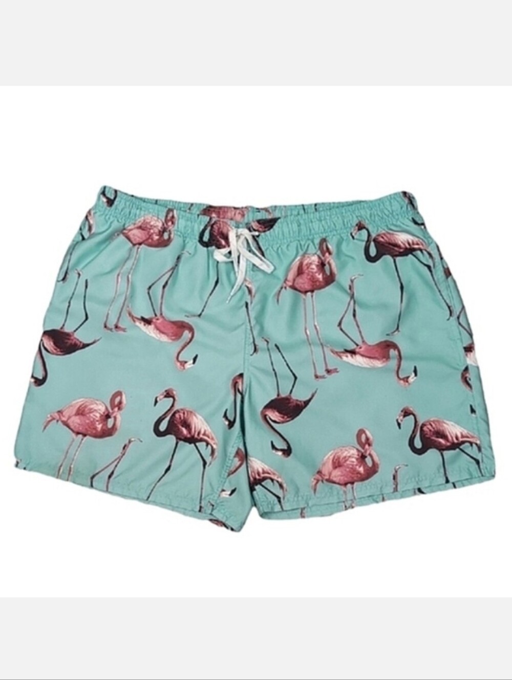 City Streets Flamingo Print Swim Shorts Mens Size XXL Beach Vacation Blue Pink